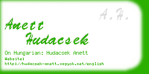 anett hudacsek business card